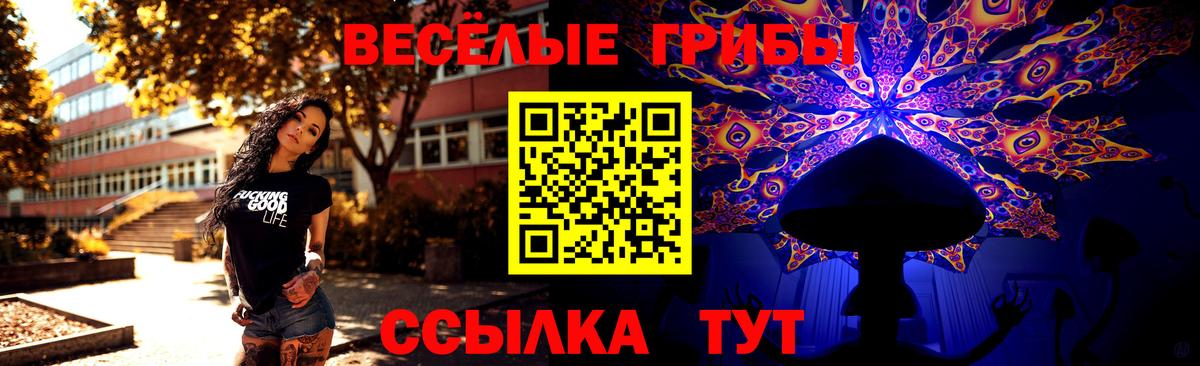 Псилоцибиновые грибы мицелий  Вход с VPN  Дербент 