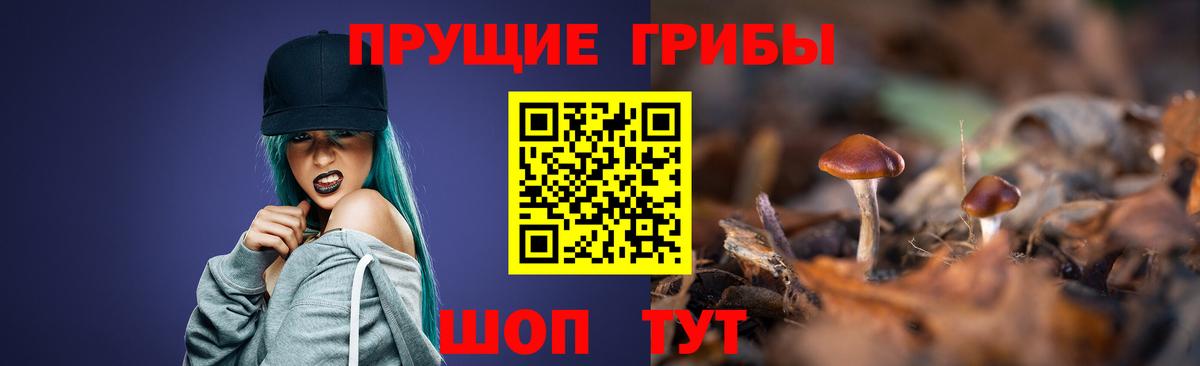 Галлюциногенные грибы ЛСД Дербент